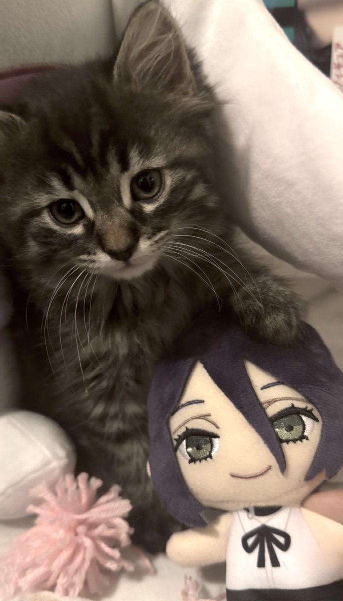 𝒽𝒾𝓁𝓁𝒶 ♡ tweet media