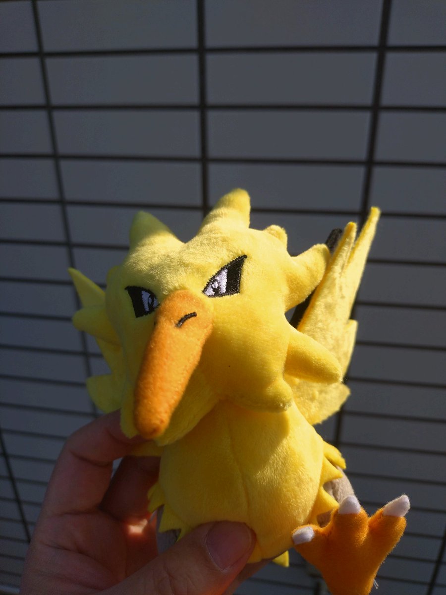 okashi_fcb's tweet photo. おはようございます☀
今日はちょっと体調が悪いですが無理せず行ってきます！
#ポケモン
#ポケモンfit
#ポケぬい
#ぬい活
#ぬい撮り https://t.co/xmOGkflzyv