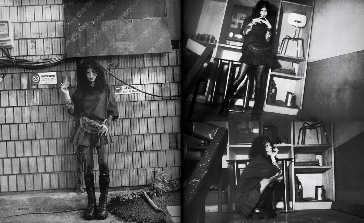 Bonkle K. 🌠🪲 tweet media