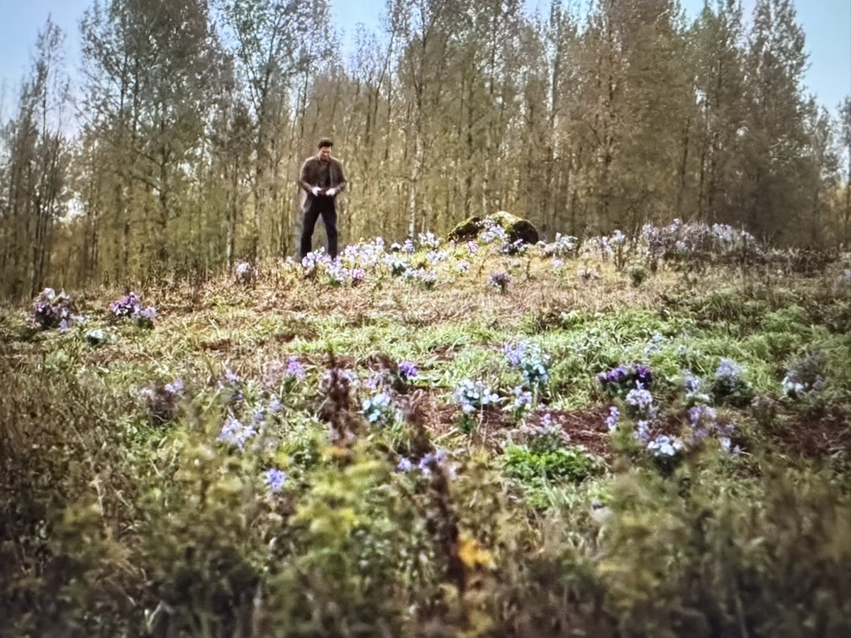 LillianR27's tweet image. This picture !!! Beautiful flowers for a beautiful couple ❤️#WCTH @hallmarkchannel @erinkrakow @kevin_mcGarry