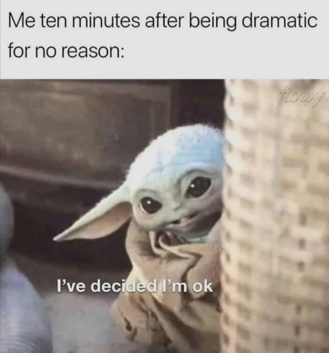 ℒ ☘️ tweet media