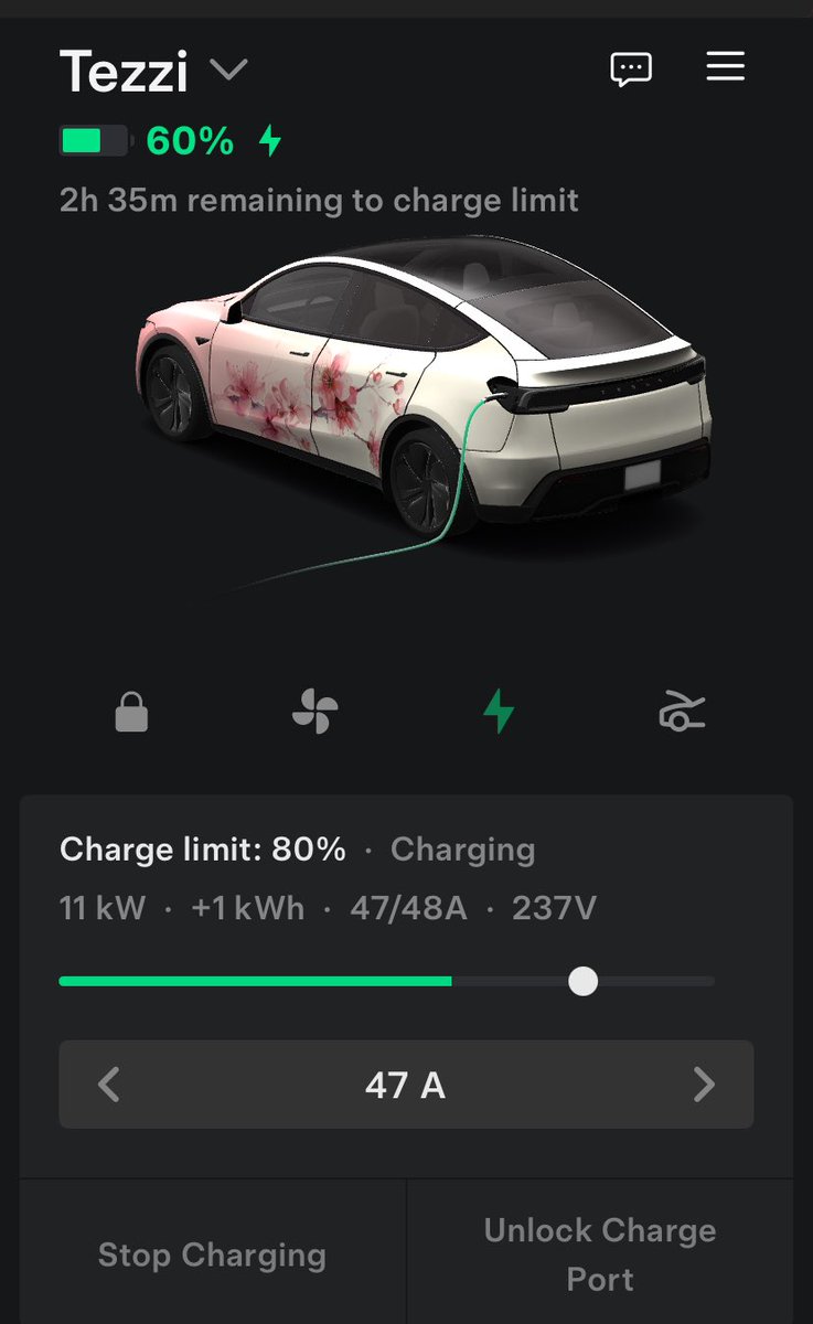 Digital Daisy tweet media