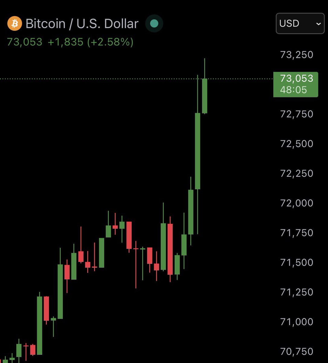 Bull Theory tweet media