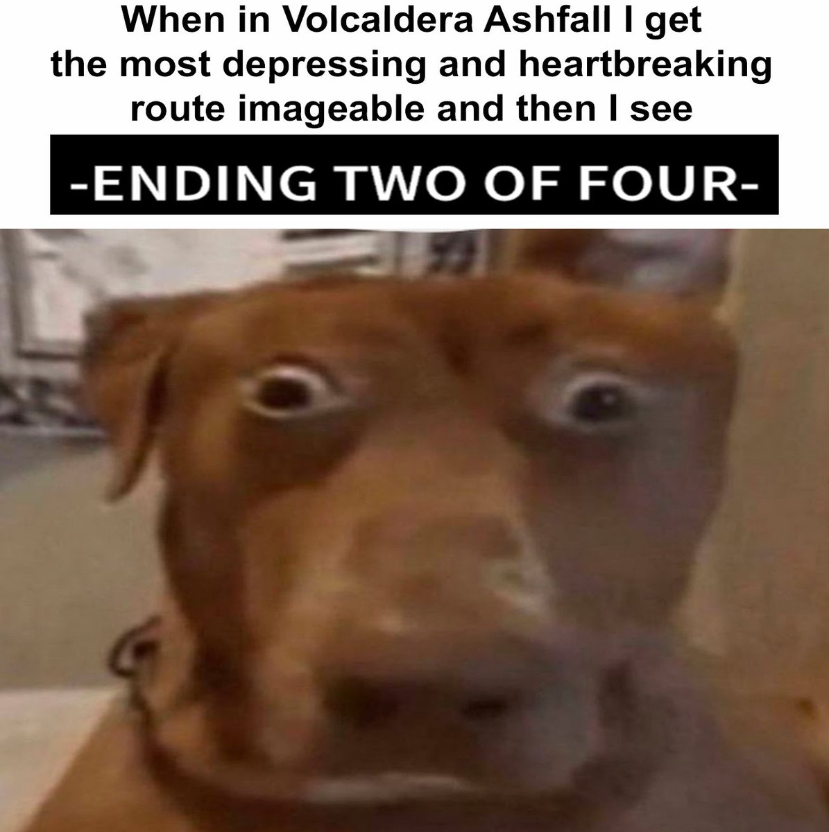 /SnootPosting/ tweet media