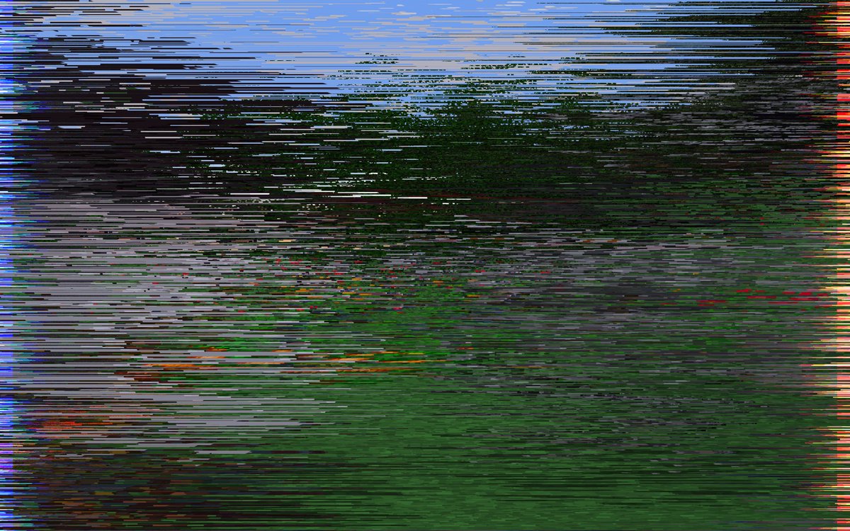 lelly 🌸 tweet media