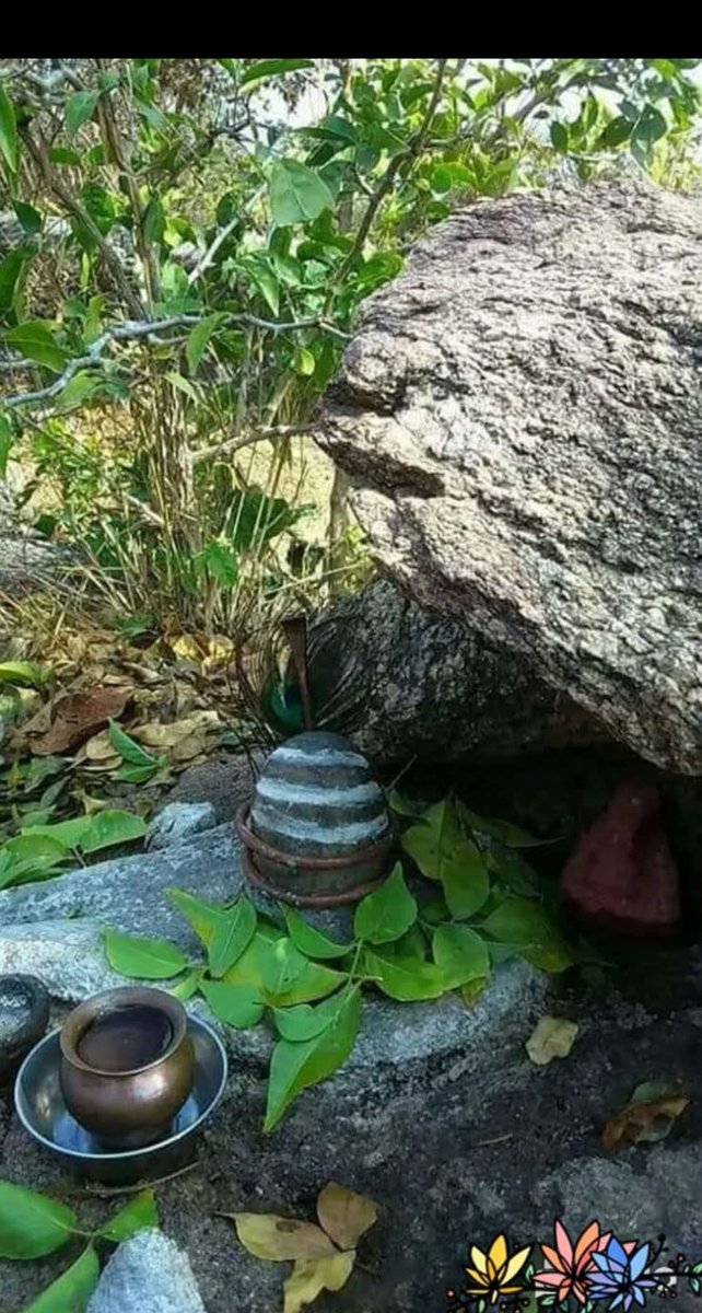 Vikas kumar singh tweet media