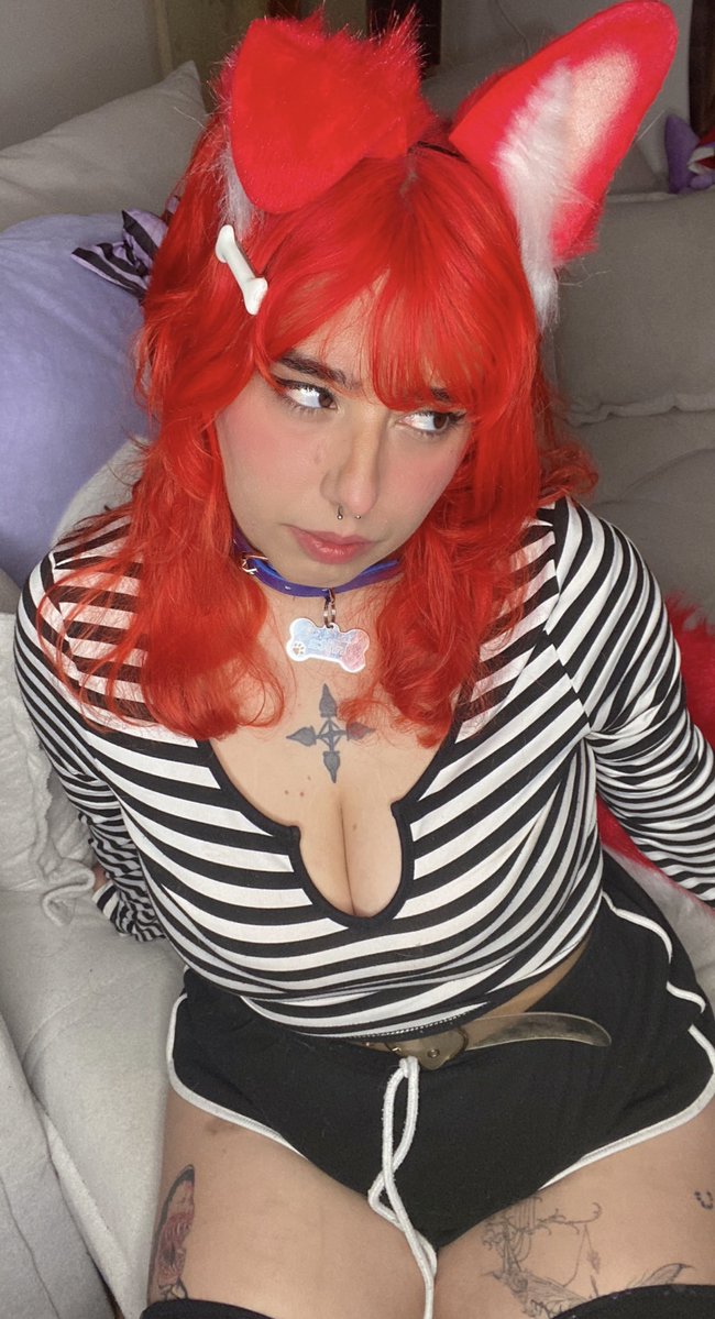 Nita the shortstack clownpuppy 🤡🐾 tweet media