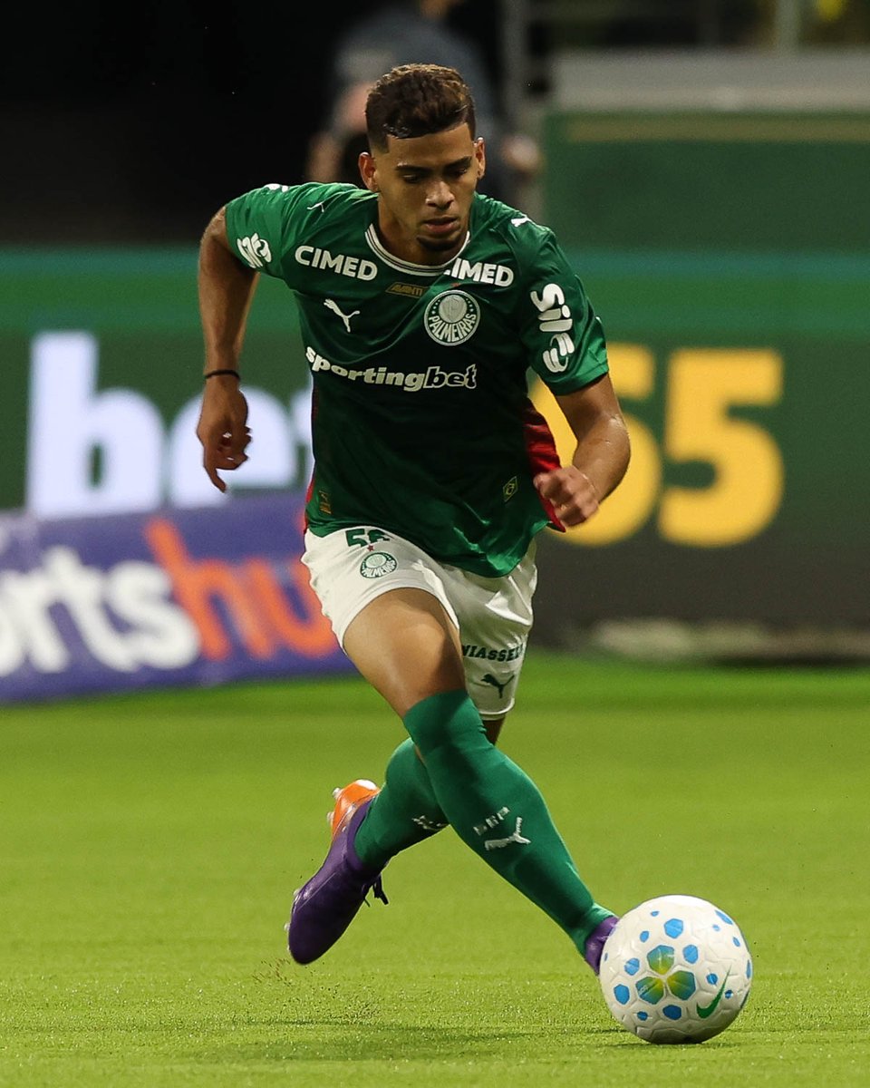 SE Palmeiras tweet media