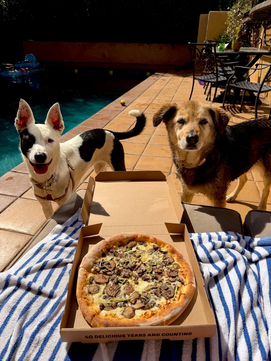 PokeCollectorRand tweet media