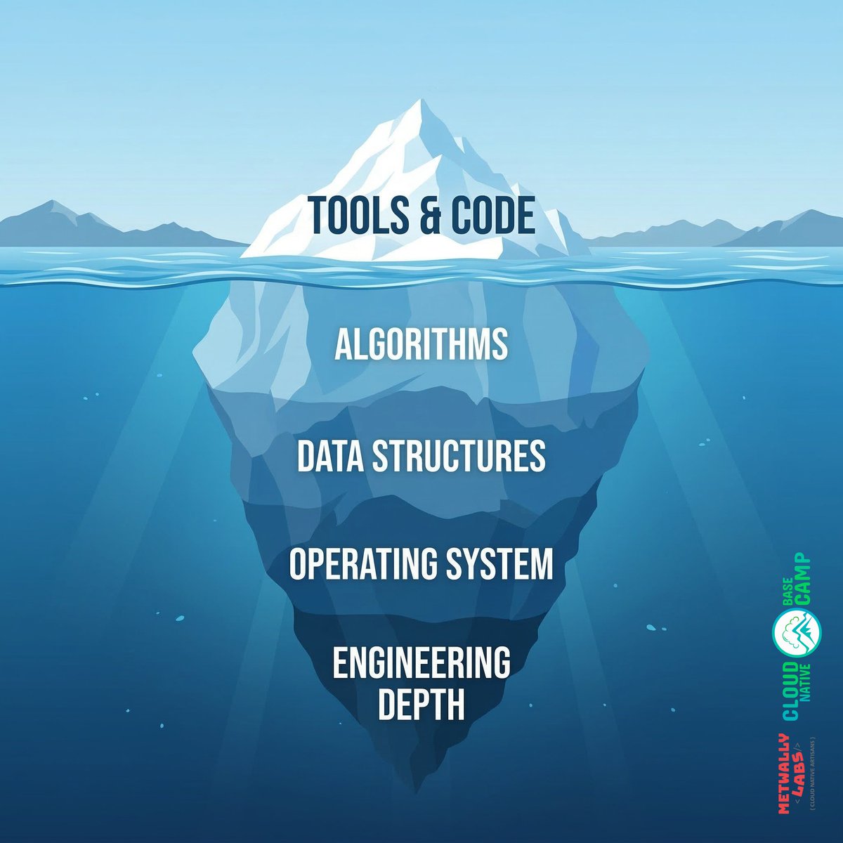Metwally tweet media