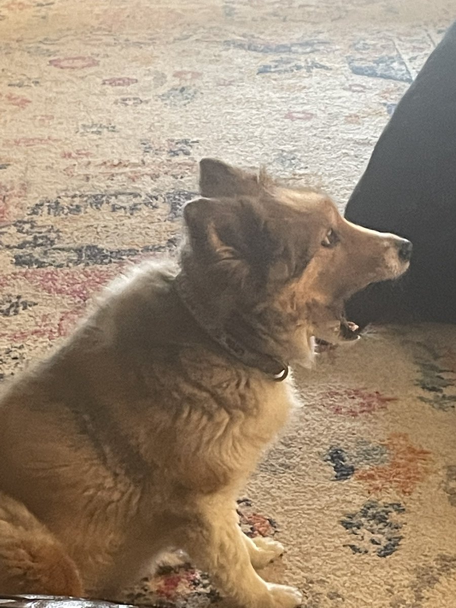 Justin G. Till tweet media