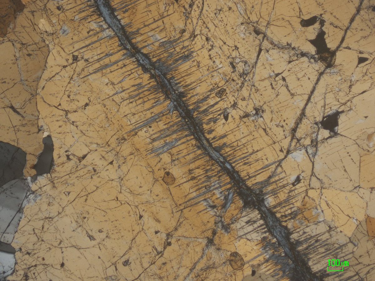 Tomo_Morishita_MantleLab tweet media