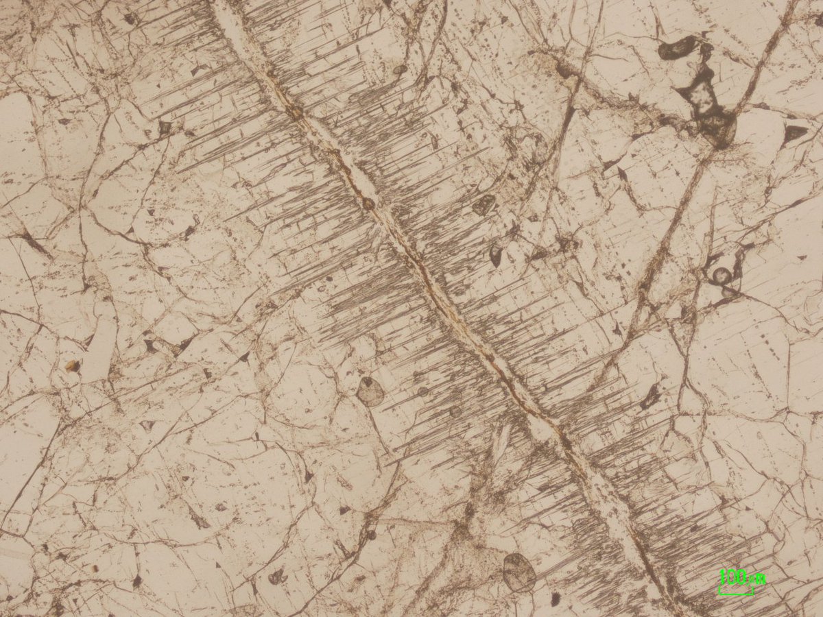 Tomo_Morishita_MantleLab tweet media