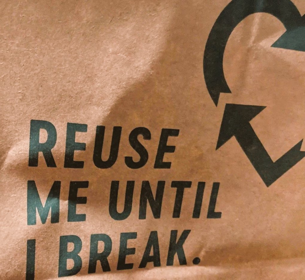 LucyFox🏳️‍⚧️ tweet media