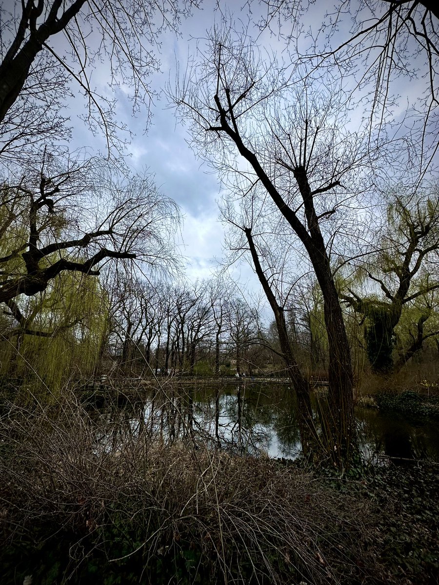 lute_ism's tweet image. 🇩🇪でルーを使ったカレーは🍛高級品。
なかなか #RAN くんの顔にピンと合わせるの難しい。

近くの公園に散歩したらかっこいい樹や景色が沢山でした。まだ寒い。

レボが沢山流れてきて、はやく　#D_U_N_K_ の動画観たくて待ちきれない。
#MISSIOn2  を見返してしのぐ。
#MAZZEL
#BMSG