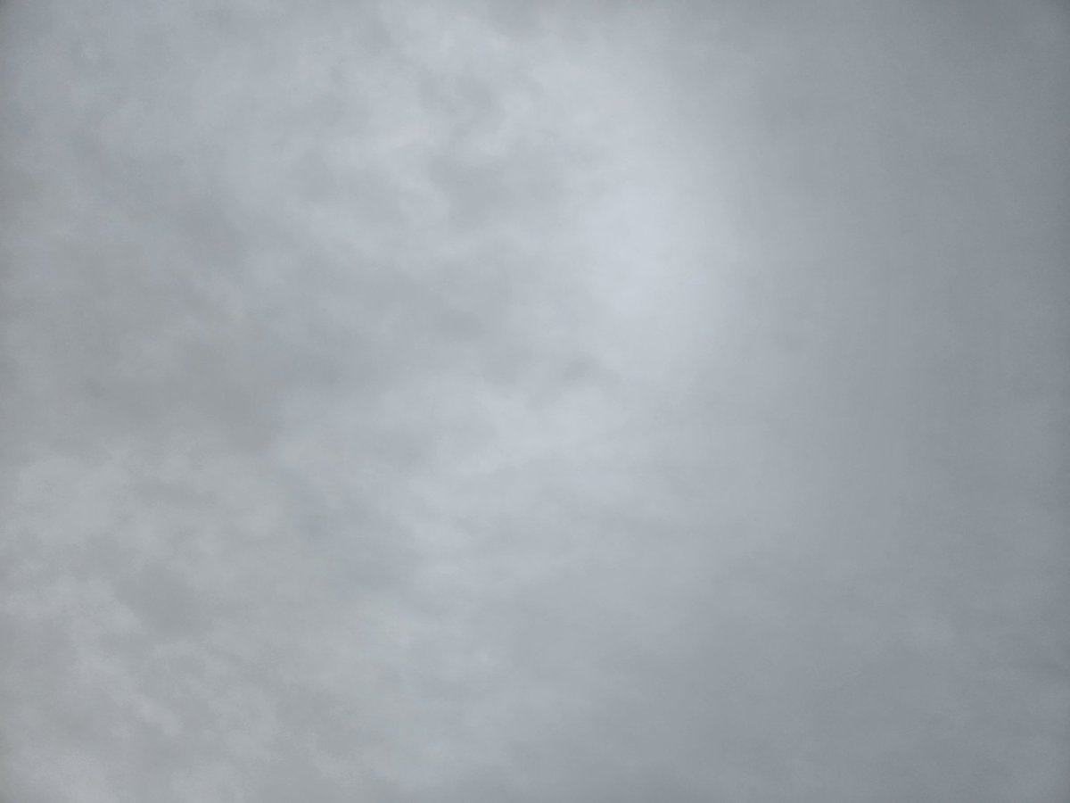 EndoIromi11390's tweet photo. #おはようございます
#すっぴん
#今朝の空
雨がぱらついてたので
洗濯は明日にしました🧺

昨日は
#想起
#DEEPSpring
総見でした
いやいや反省点ばかり
先ずは発声だ
パントマイムなのに
と思いますねw

よい一日をお過ごし下さい♪ https://t.co/gZlmXbVkvP