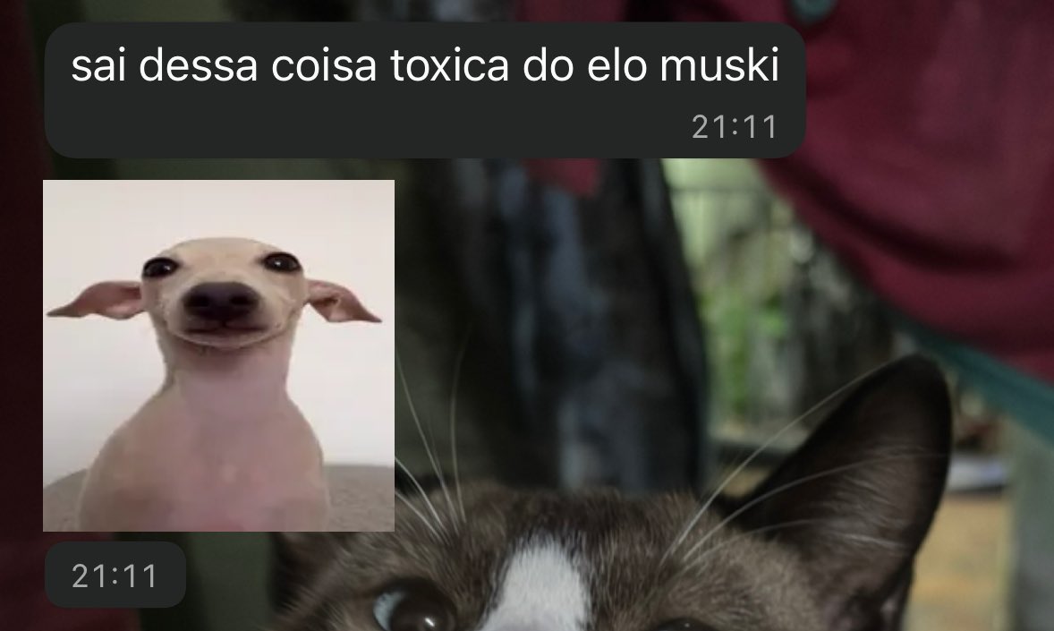 lorax ☀️ #SBR tweet media