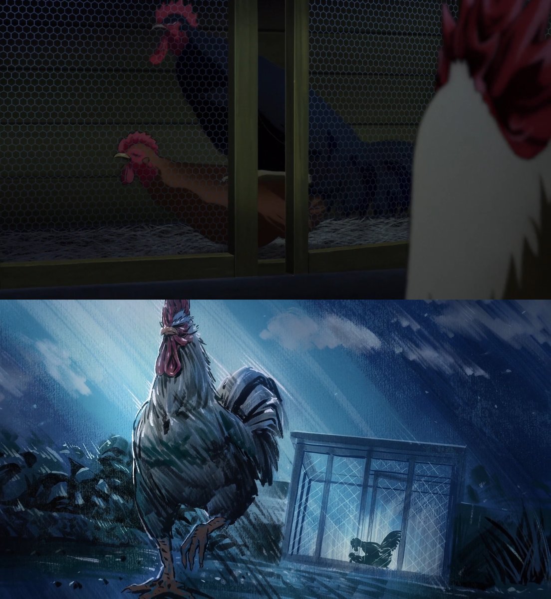 El NTR lo hará mas fuerte ...
#RoosterFighter