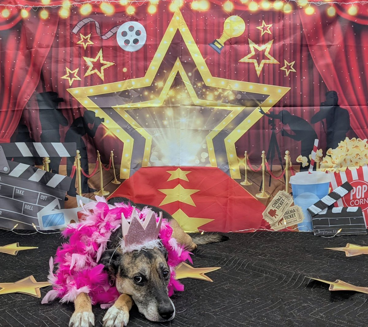 Sammi Silber 🏒 tweet media