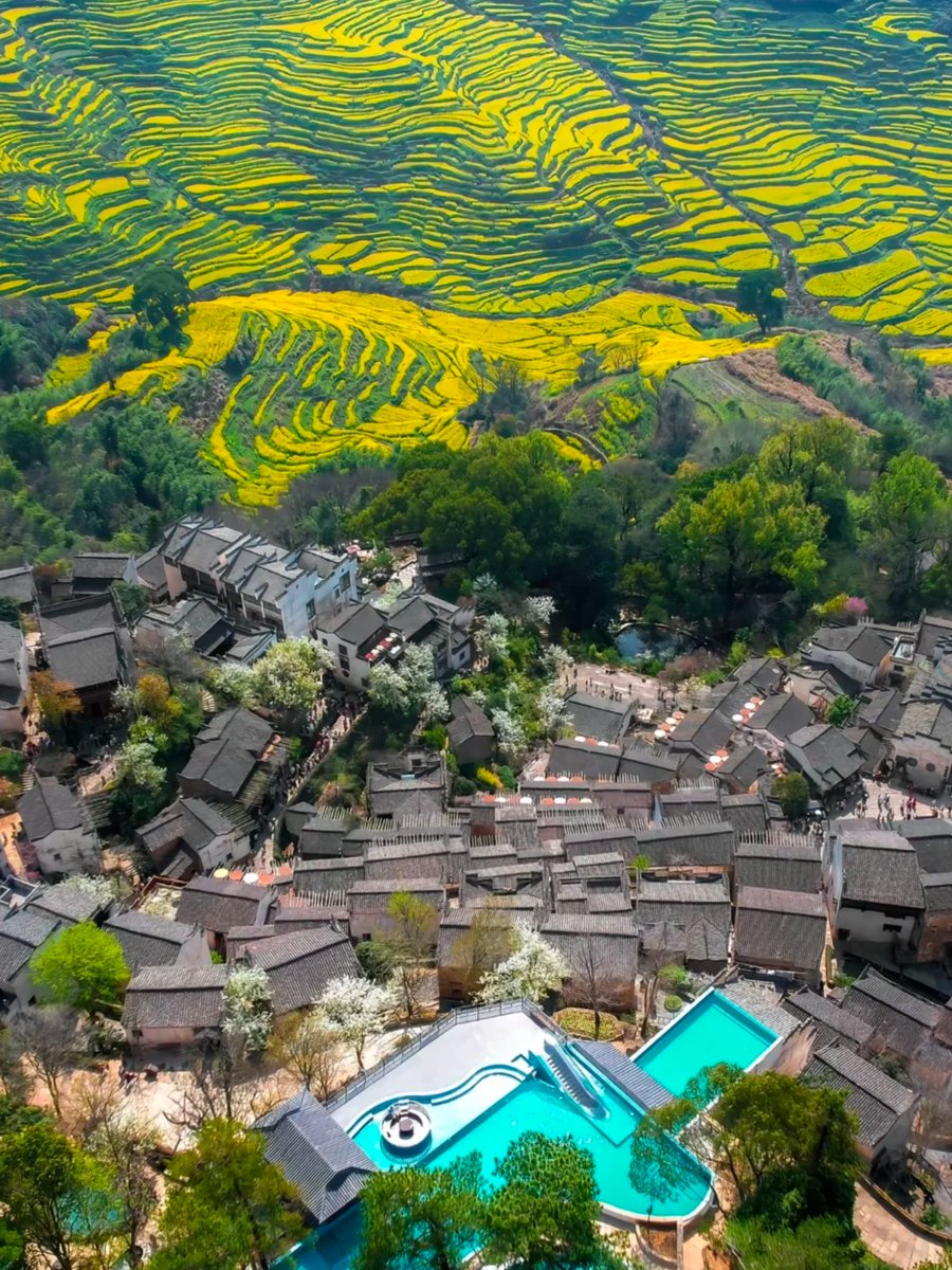 yongxin659 tweet picture
