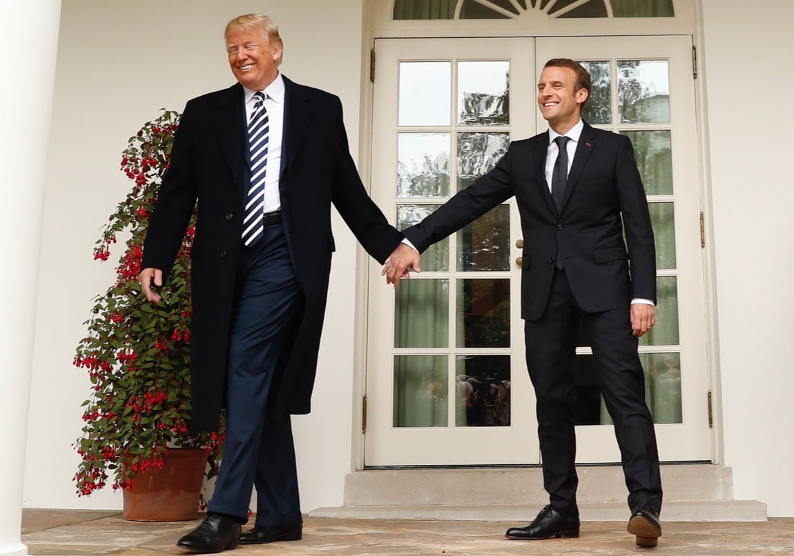 catie wilber tweet media