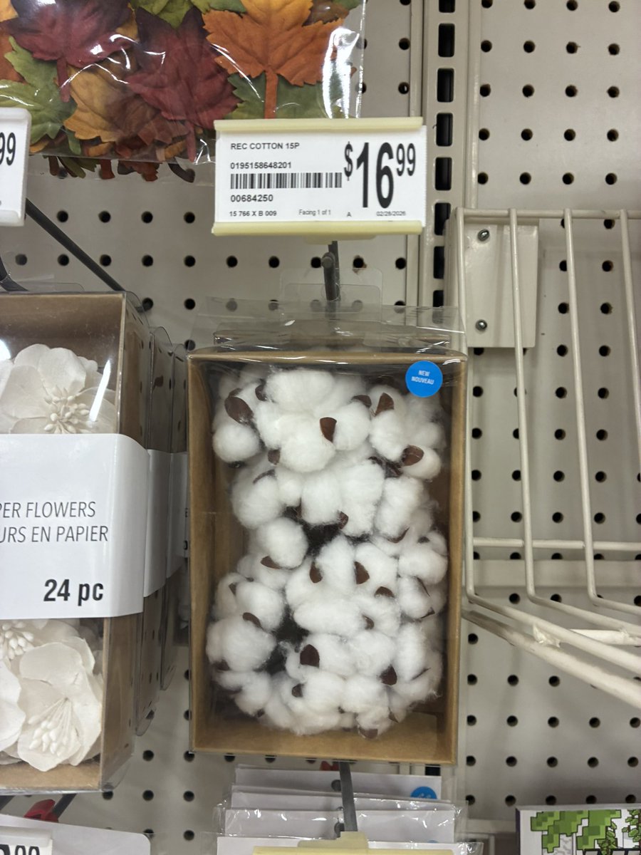 ˚ ༘♡ ⋆。˚ tweet media