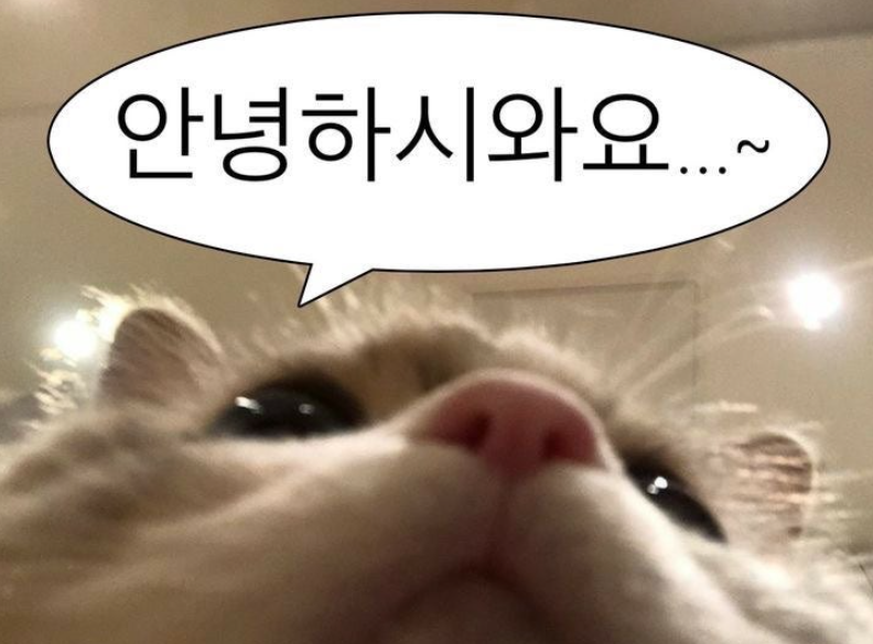 dropbe_official's tweet photo. 드롭비지기도 상시 대기중! 언제든 불러주세요! https://t.co/9lUrVdhDOu