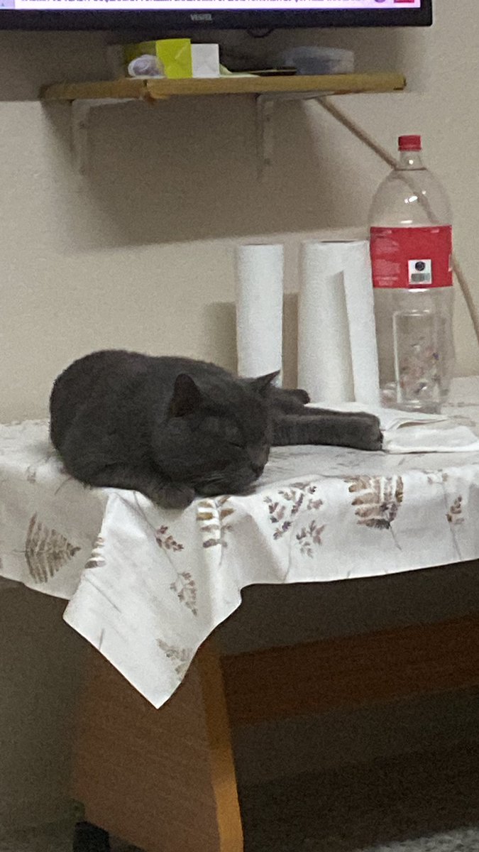 bayan_dakikk's tweet photo. Telefonumdan her şeyi silebilirim ama çocuğumun hiç bir fotoğrafını silemem 🥲 https://t.co/f7ILyArP5q