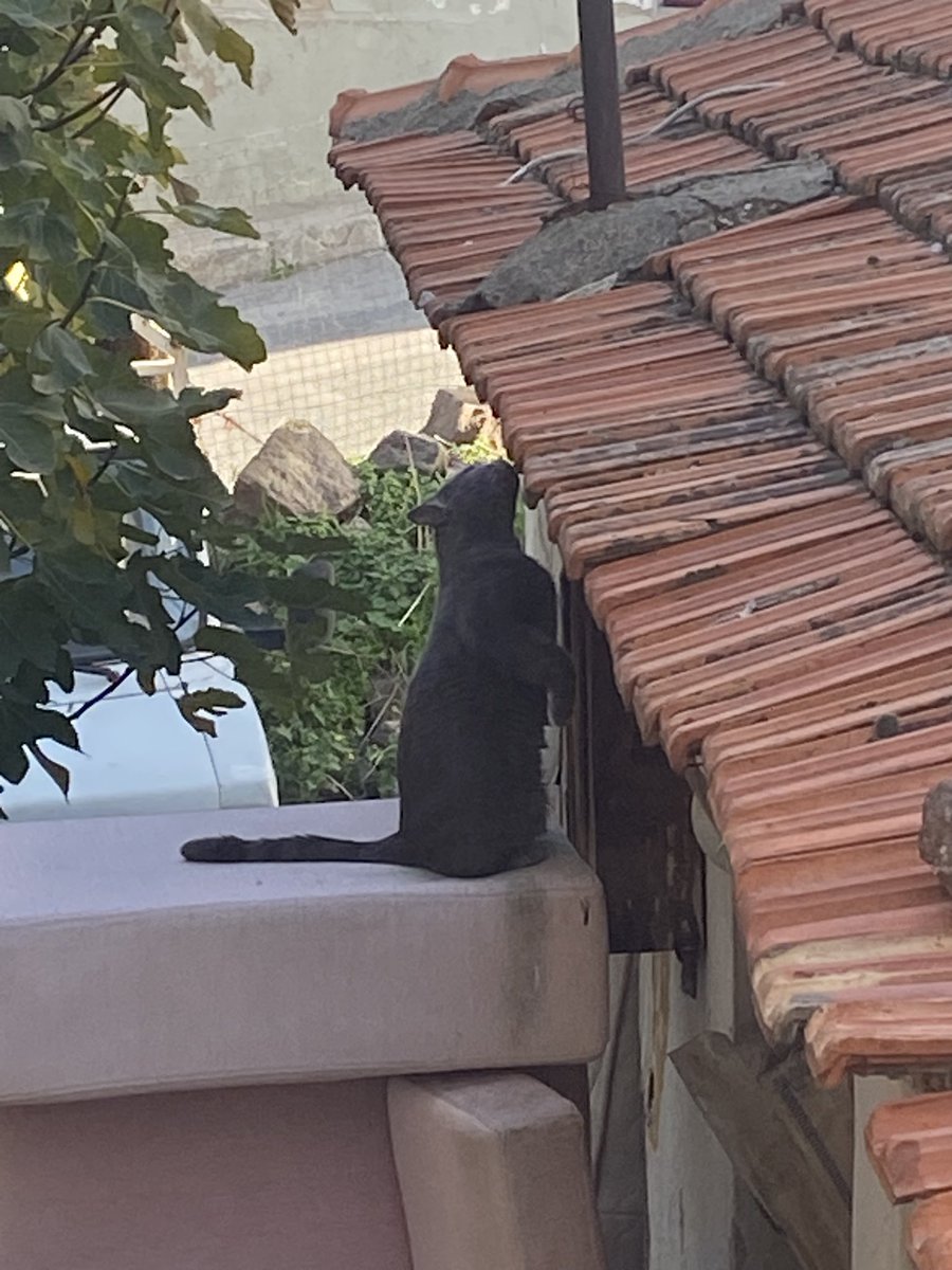 bayan_dakikk's tweet photo. Telefonumdan her şeyi silebilirim ama çocuğumun hiç bir fotoğrafını silemem 🥲 https://t.co/f7ILyArP5q