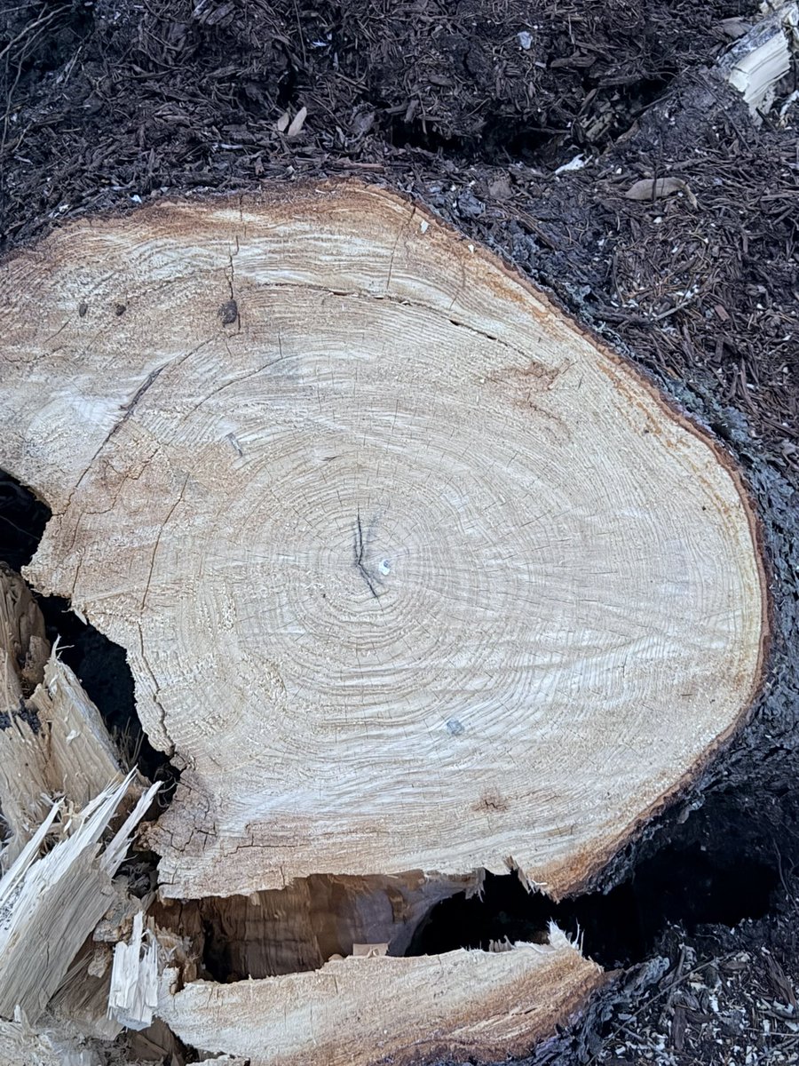 Fermes Chauvin Farms Ltd.🇨🇦 tweet media