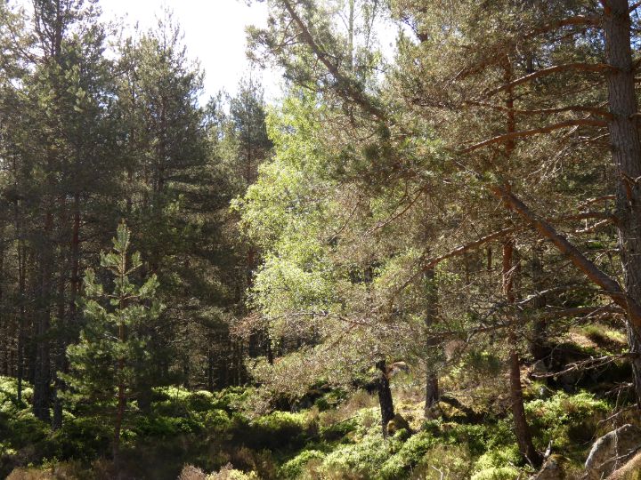 Catriona Roberts tweet media