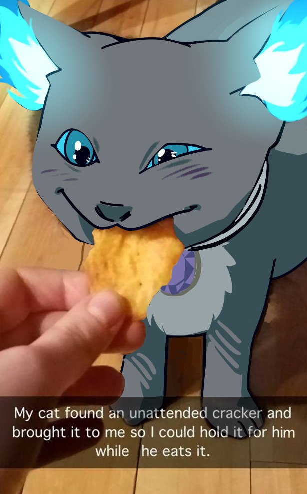 👾👾👾 tweet media