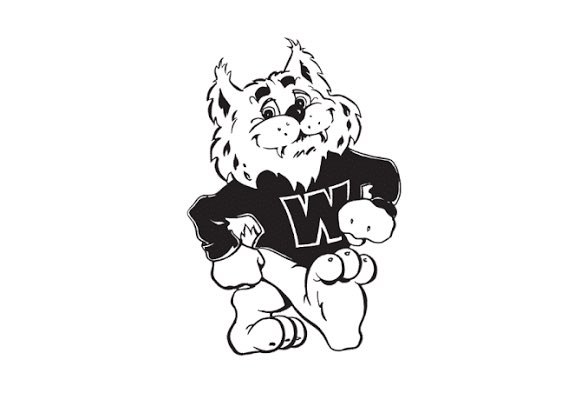 Shane Johnson ⭐️⭐️⭐️ tweet media