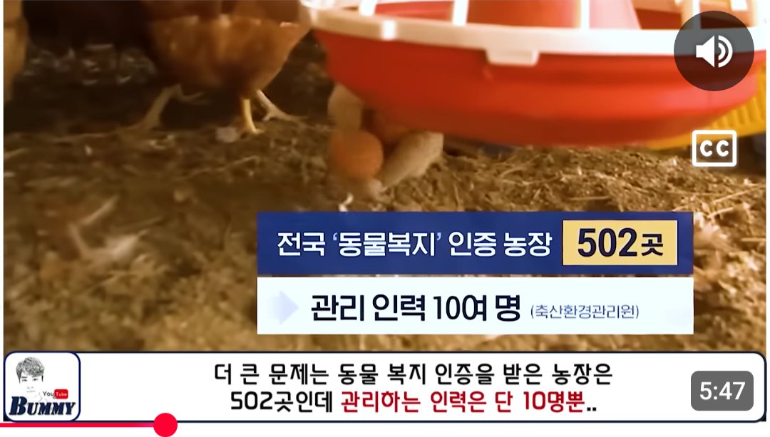 에스더Esther tweet media