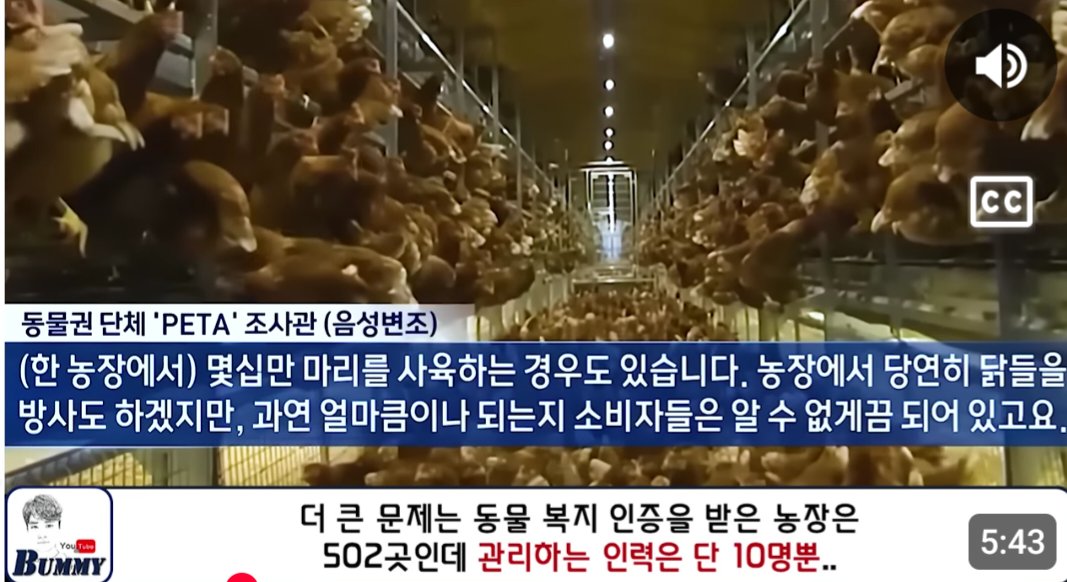 에스더Esther tweet media