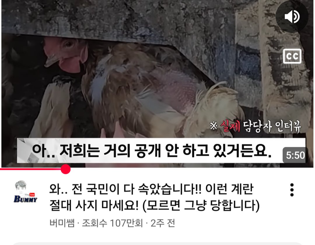 에스더Esther tweet media