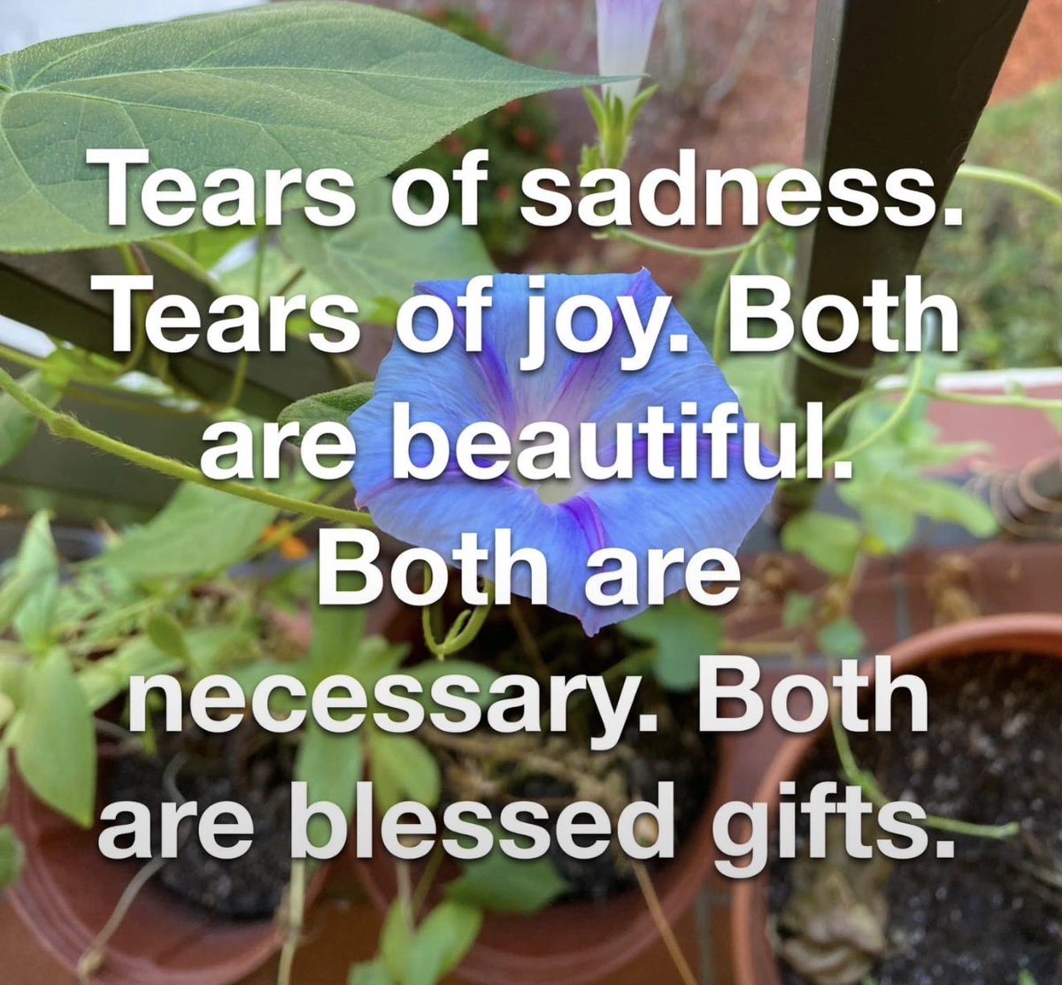 JohnCDavisMusic's tweet image. Tears of sadness. Tears of you. Both are beautiful. Both are necessary. Both are blessed gifts. 🙏🏻 #JoyTrain #hope #healing #grief #blessings #mindful #spiritual #sunday