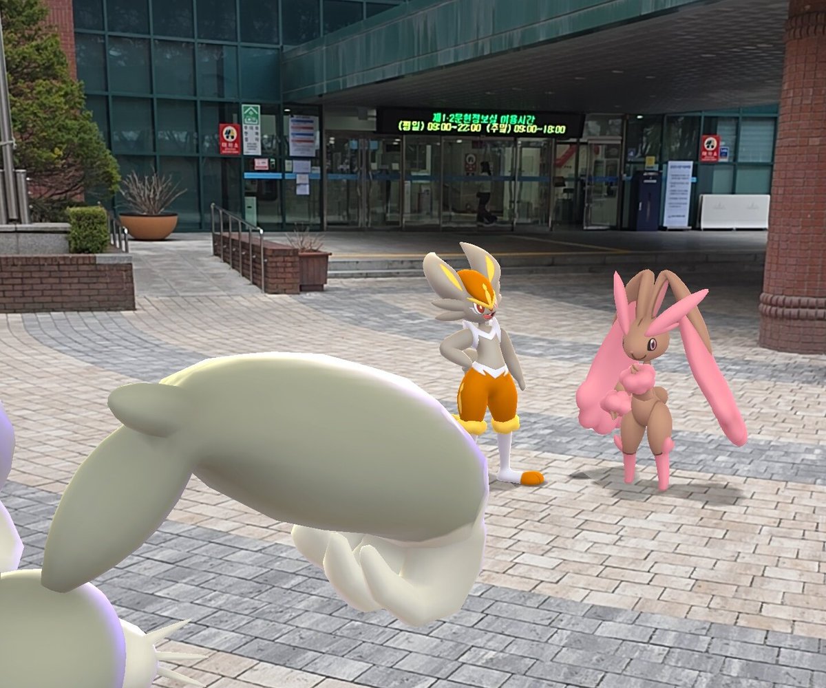 ダビディア tweet media