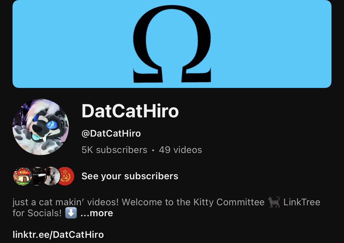 WHO DAT CAT tweet media