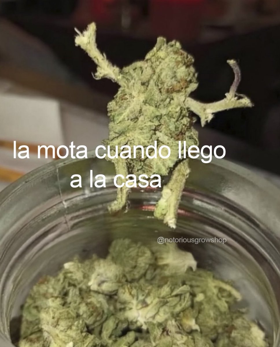 El Paragua Venenoso (@elparaguayo1231) on Twitter photo 