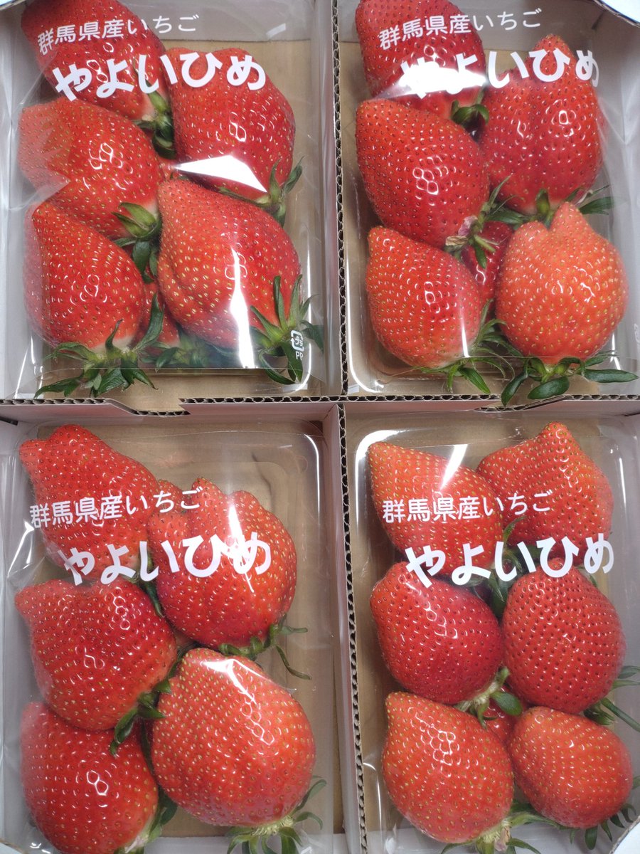 樋口園芸【いちご・生産・直売・全国発送】 tweet media