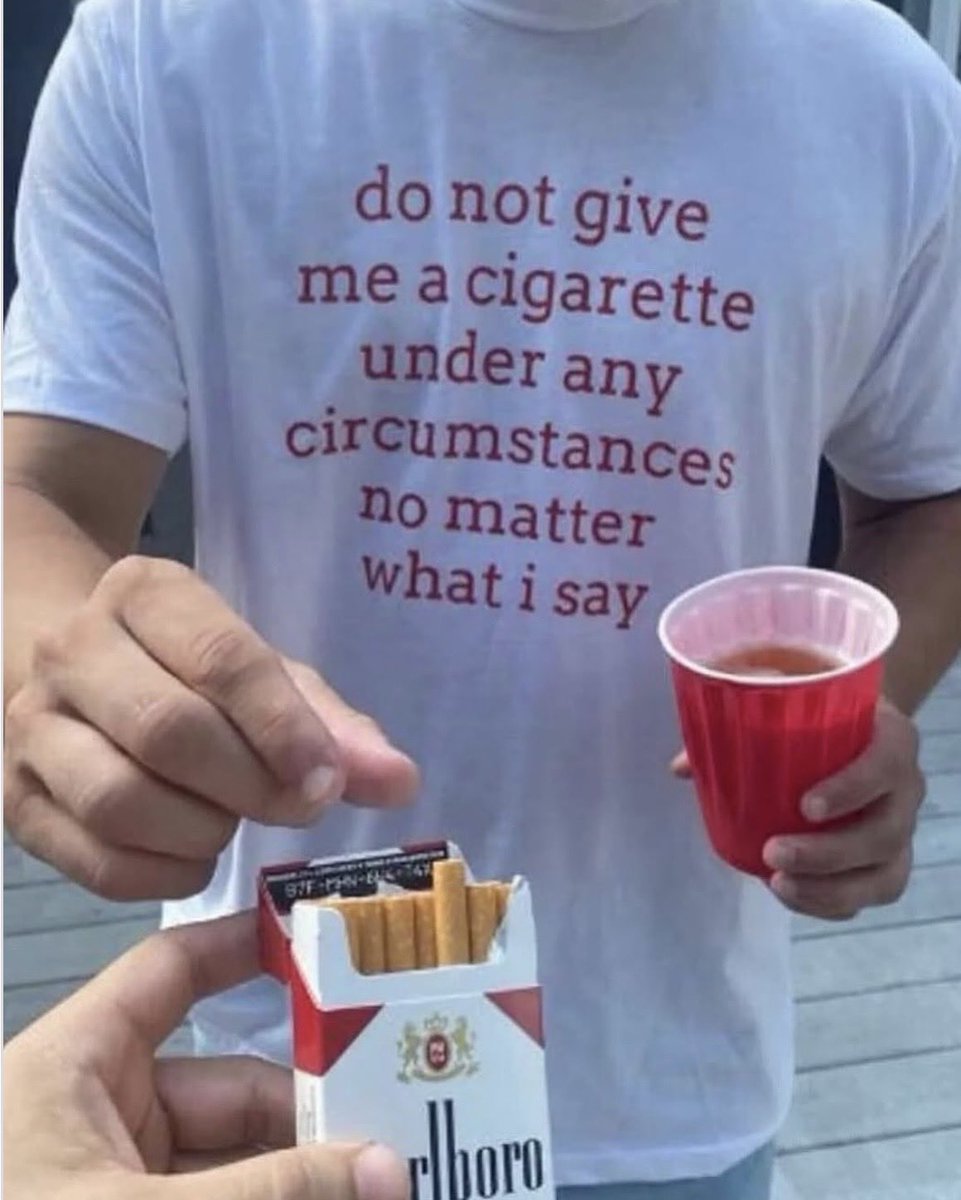 ℒ ☘️ tweet media