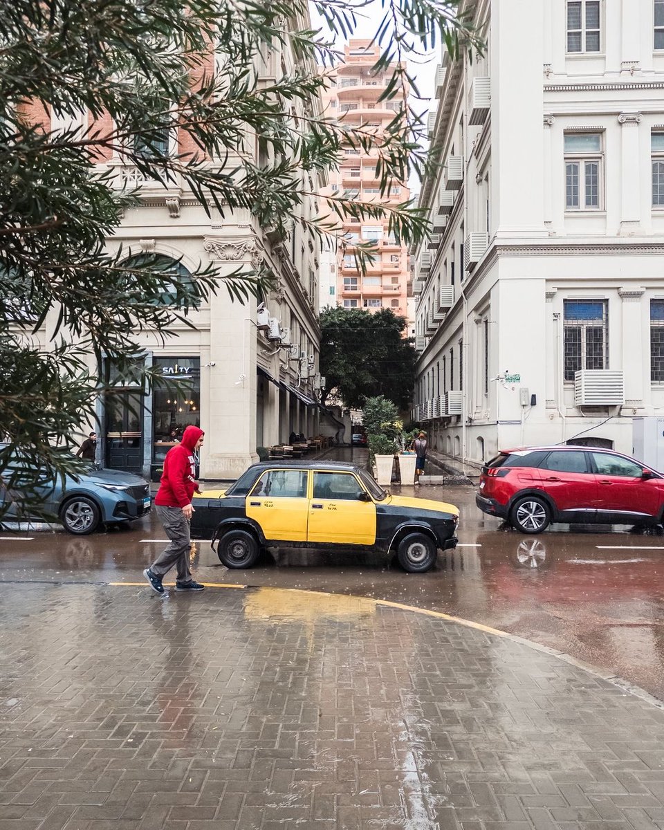 اسكندرية - Alexandria tweet media