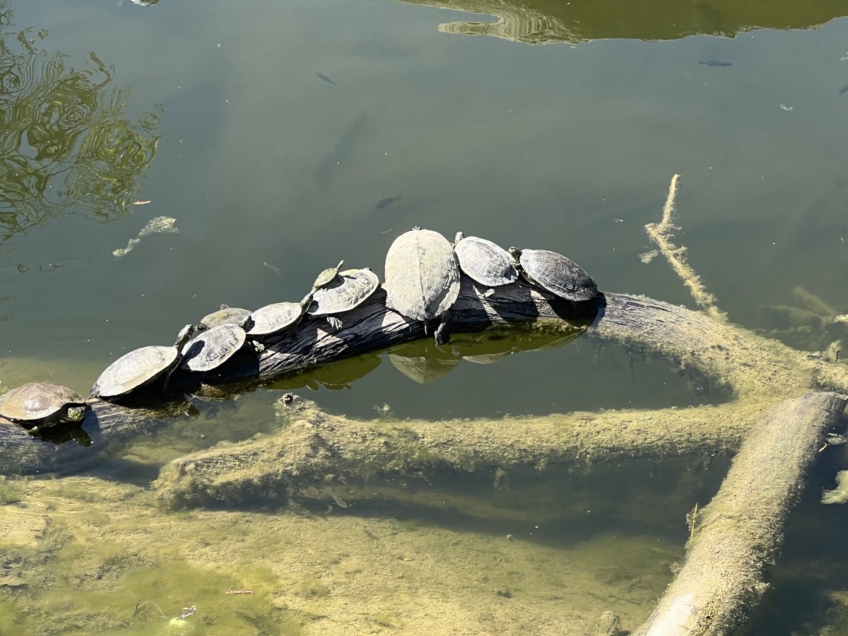 WD5GRW - Jim tweet media