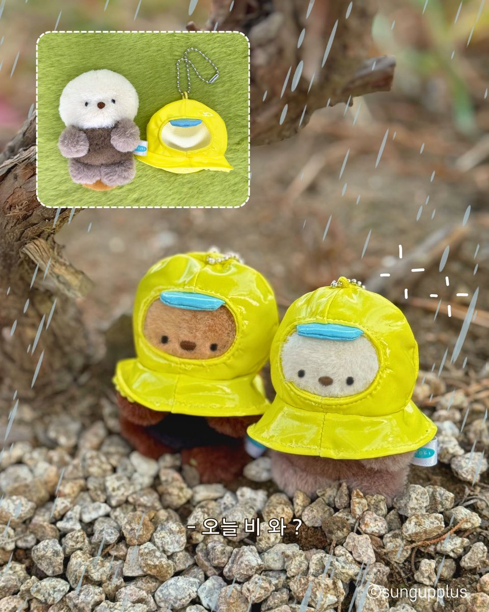 (주)성업플러스 공식 채널 tweet media