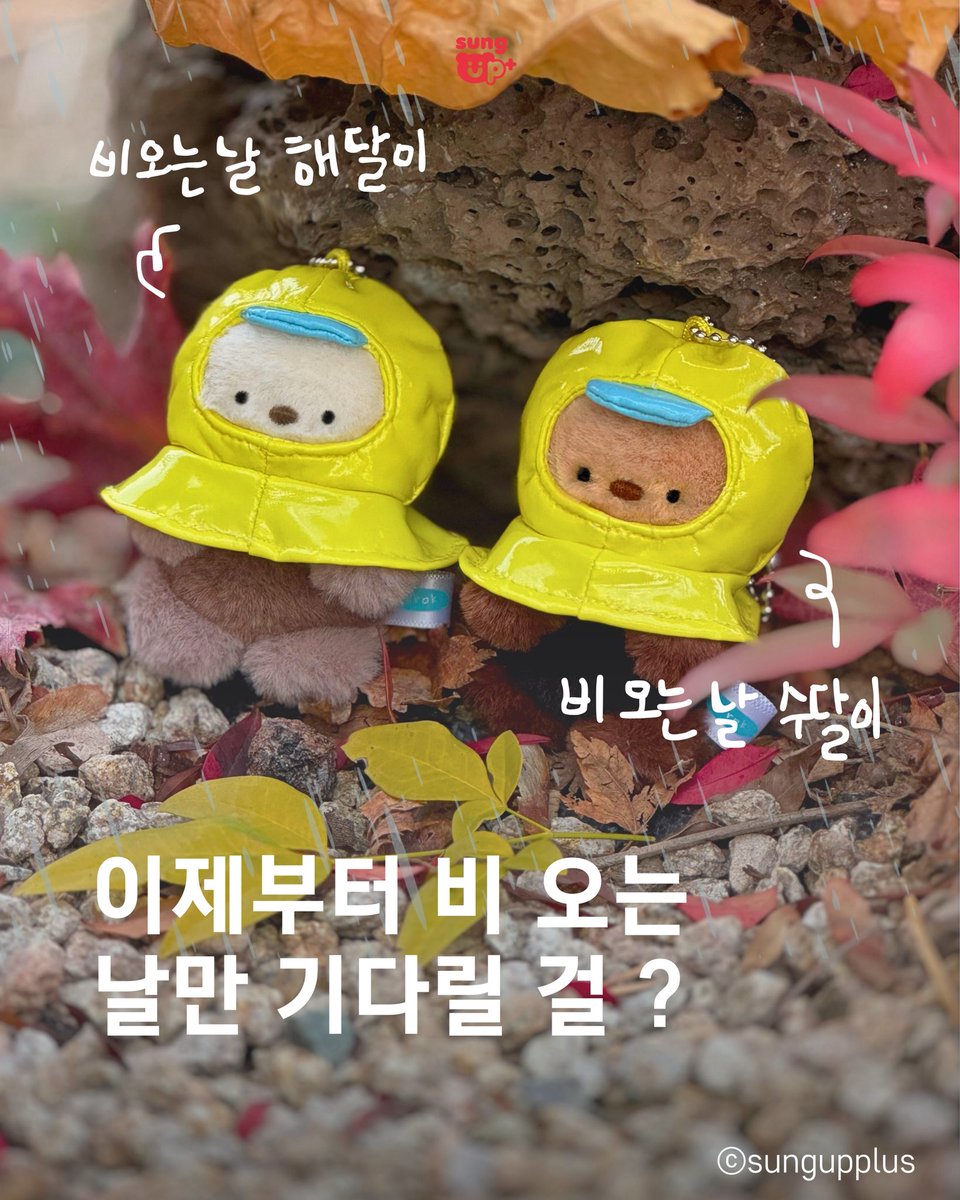 (주)성업플러스 공식 채널 tweet media