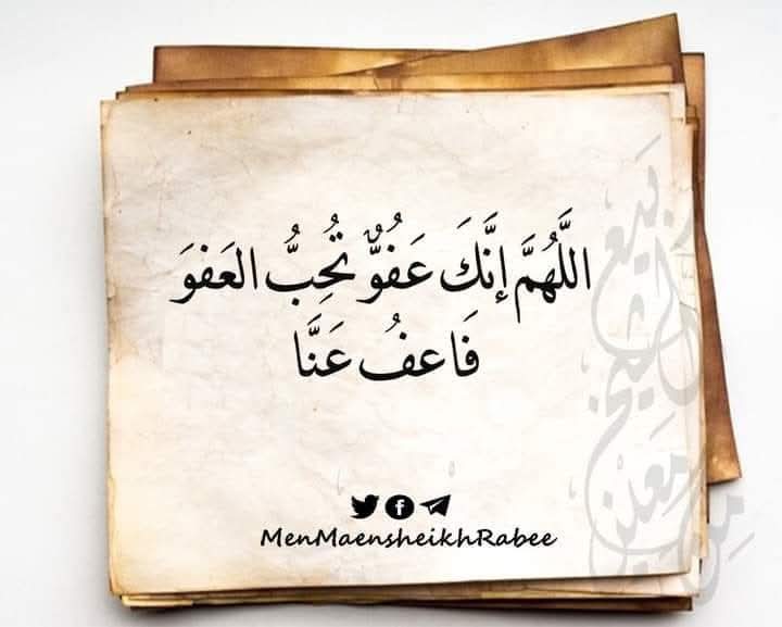 من معين الشيخ ربيع tweet media