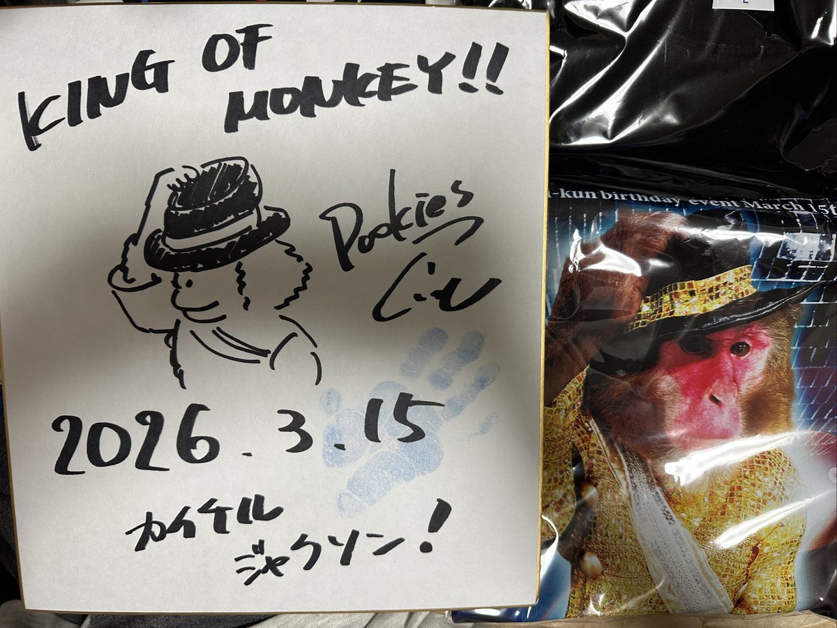 ぺんぎん#3 tweet media