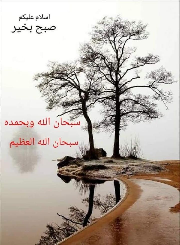 خانم tweet media