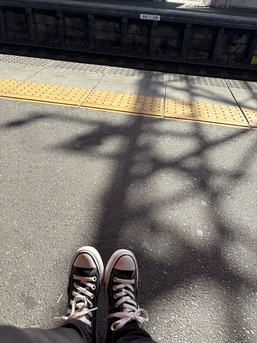 みーちゃん🐰🩵 tweet media